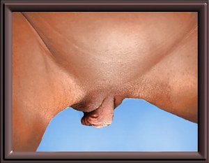 Priscile massage sexe à Longué-Jumelles, 49